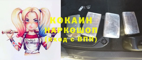 гидропоника Гусиноозёрск