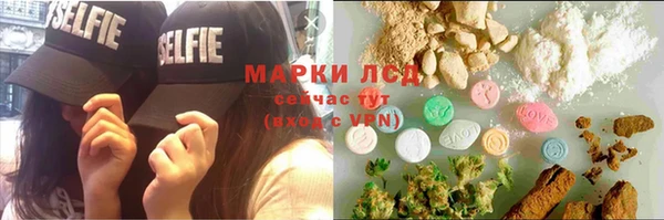 гидропоника Гусиноозёрск