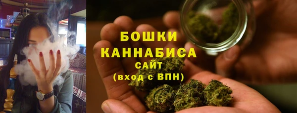 гидропоника Гусиноозёрск