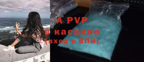 гидропоника Гусиноозёрск
