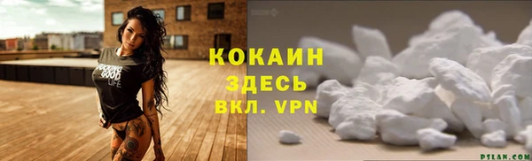 гидропоника Гусиноозёрск