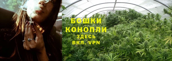 альфа пвп Гусь-Хрустальный