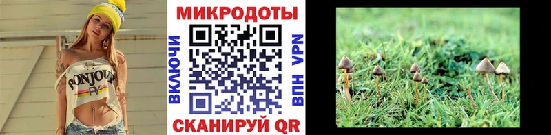 Галлюциногенные грибы Magic Shrooms  Купить закладки  Новоаннинский 