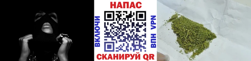 Конопля Bruce Banner  Купить  Новоаннинский 